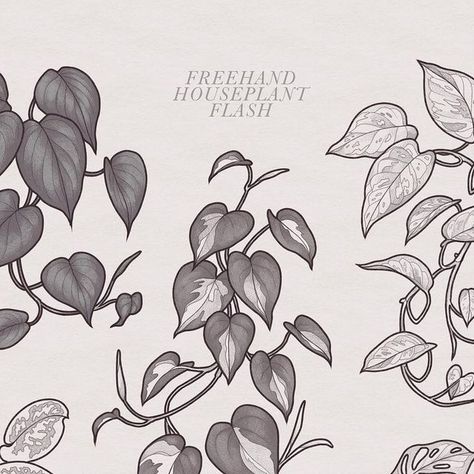 Linework Illustration, Pothos Tattoo Design, Pothos Drawing, Philodendron Tattoo, Plant Arm Tattoo, Houseplant Tattoo Ideas, Pothos Tattoo, Houseplant Tattoo, Pothos Line Art