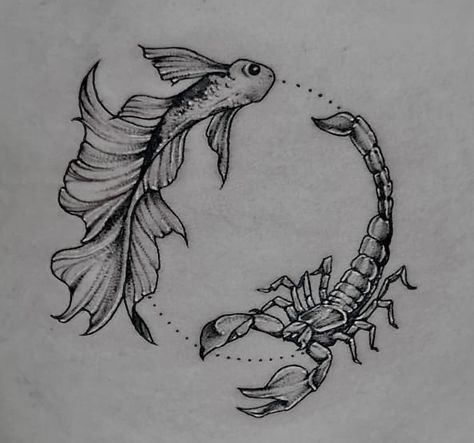 Scorpio Zodiac Tattoos, Pisces Tattoo Designs, Zodiac Stars, Astrology Tattoo, Aquarius Tattoo, Scorpio Tattoo, Pisces And Scorpio, Pisces Tattoos, Water Tattoo