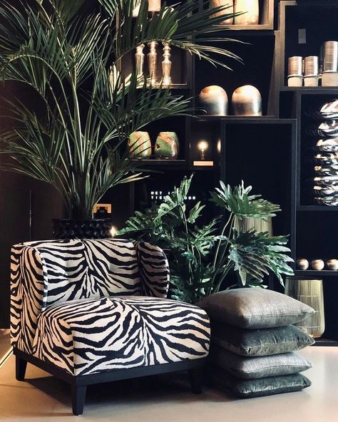 Bowral House, Mystical Room, Sustainable Store, Zebra Chair, African Interior, African Home Decor, African Decor, Dark Interiors, Living Room Decor Apartment