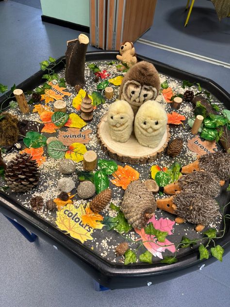 Owl Babies Tuff Tray, Owl Babies Eyfs Activities, November Themes, Nocturnal Creatures, Owl Babies, Pumpkin Field, Outdoor Learning Spaces, Classroom Idea, Eyfs Activities