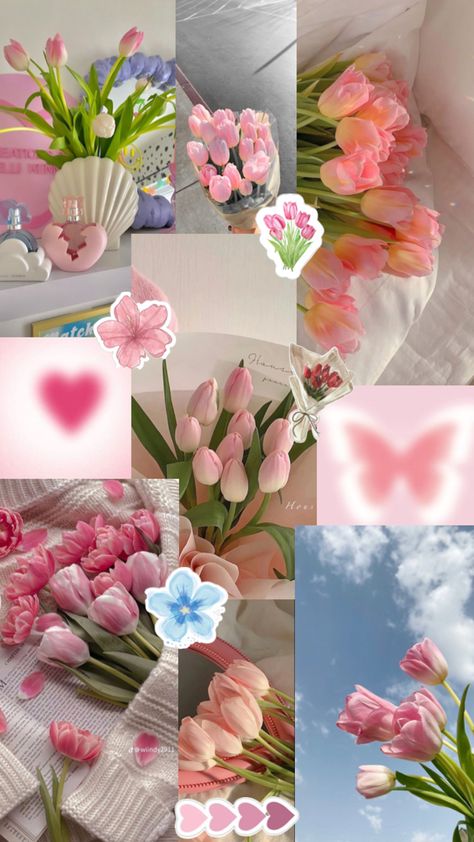 Tulips Wallpaper Collage, Tulip Flowers Aesthetic, Pink Flower Wallpaper Iphone, Wallpaper Aesthetic Bunga, Tulip Wallpaper Iphone, Wallpaper Tulips, Wallpaper Tulips Aesthetic, Aesthetic Tulips Wallpaper, Pink Tulips Wallpaper