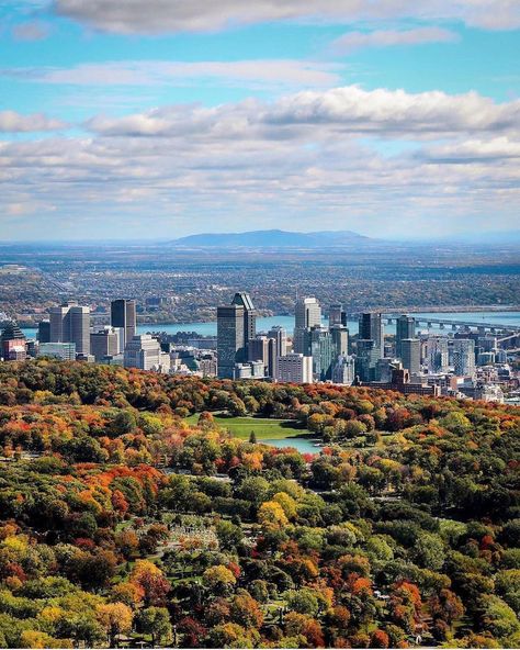 Live MTL on Instagram: “Mont Royal 😍🍂🍁🍃 📸@jfsavaria #montreal #mtl #livemtl #livemontreal #montréal #mtlmoments #quebec #québec #canada #montroyal #october…�” Conclusion Essay, Mont Royal Montreal, Mother Language Day, Essay Contests, Persuasive Essays, Thesis Statement, Essay Writer, Good Essay, Montreal Quebec