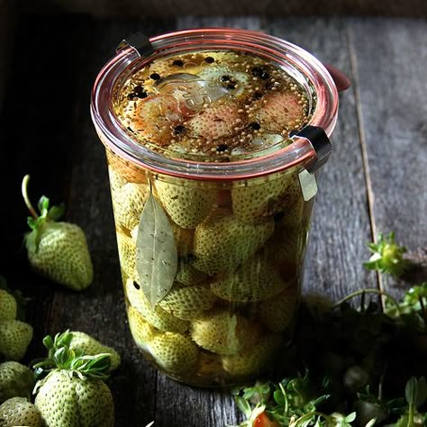 Pickled Green Strawberries Green Strawberries, Strawberry Vinegar, Pickled Fruit, Yellow Mustard Seeds, In A Pickle, Green Strawberry, Caraway Seeds, Onion Recipes, Pickled Onions