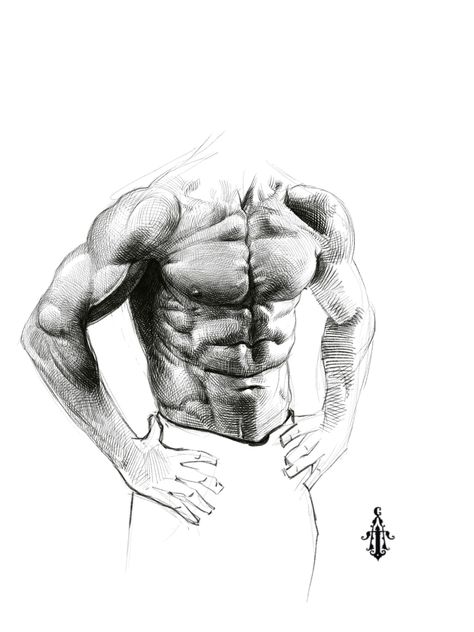 Muscles Sketch, Muscles Drawing, Muscle Drawing, Male Figure Drawing, Man Drawing, Human Body Art, Výtvarné Reference, Human Anatomy Drawing, Human Figure Drawing