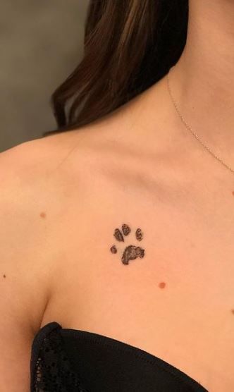 30 Paw Print Tattoos / Ideas, Designs & Pictures - Tattoo Me Now Paw Print Tattoos, Cat Paw Print Tattoo, Tattoo After Care, Cat Paw Tattoos, Tatoo Dog, Inspo Tattoo, Dog Print Tattoo, Pawprint Tattoo, Paw Tattoo