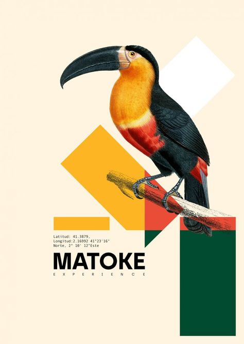 Matoke Experience Poster Collection by Xavier Esclusa Trias Photo Poster Design, Safari Design, Awareness Poster, Minimal Poster, Poster Layout, Animal Graphic, Creative Poster Design, Poster Collection, Animal Posters