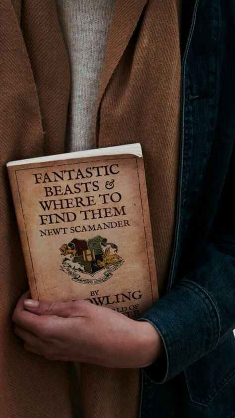 Rabastan Lestrange, Harry Potter Wall, Bookstagram Inspiration, Images Harry Potter, Hogwarts Aesthetic, Newt Scamander, Hogwarts Mystery, Fantastic Beasts And Where, Harry Potter Aesthetic