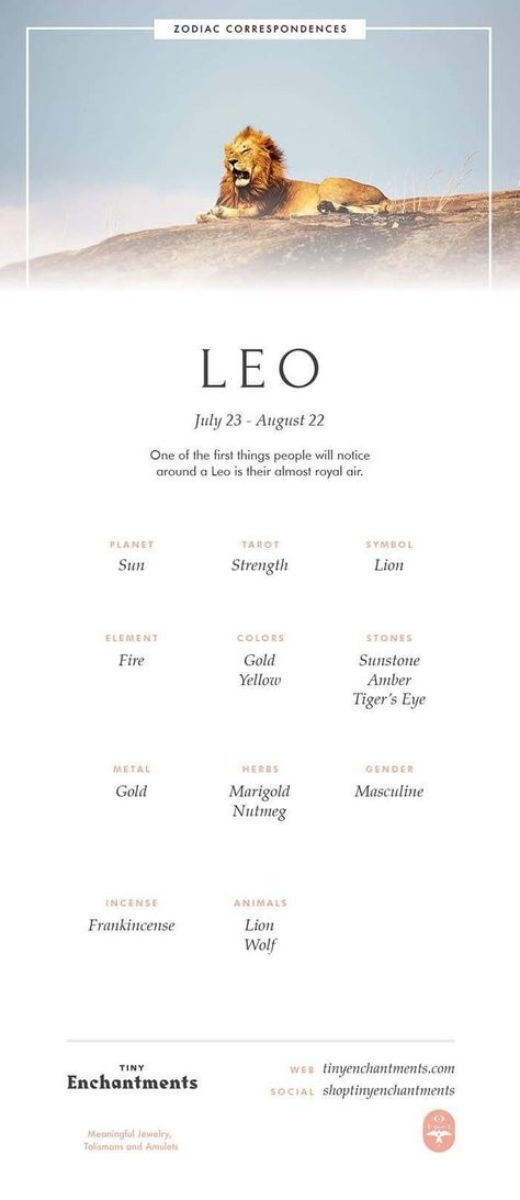 Leo Meaning, Zodiak Leo, Leo Symbol, Leo Zodiac Tattoos, Leo Personality, Leo Tattoo Designs, Lion Lioness, Leo Zodiac Quotes, Tattoo Lion