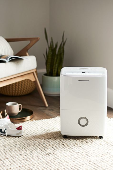 Aesthetic Air Purifier, Air Purifier Vs Humidifier, Dehumidifier For Bedroom, Whole House Dehumidifier, Nice Air Purifier And Fan, Dehumidifiers, Kitchen Store, Dust Mites, Amazon Home