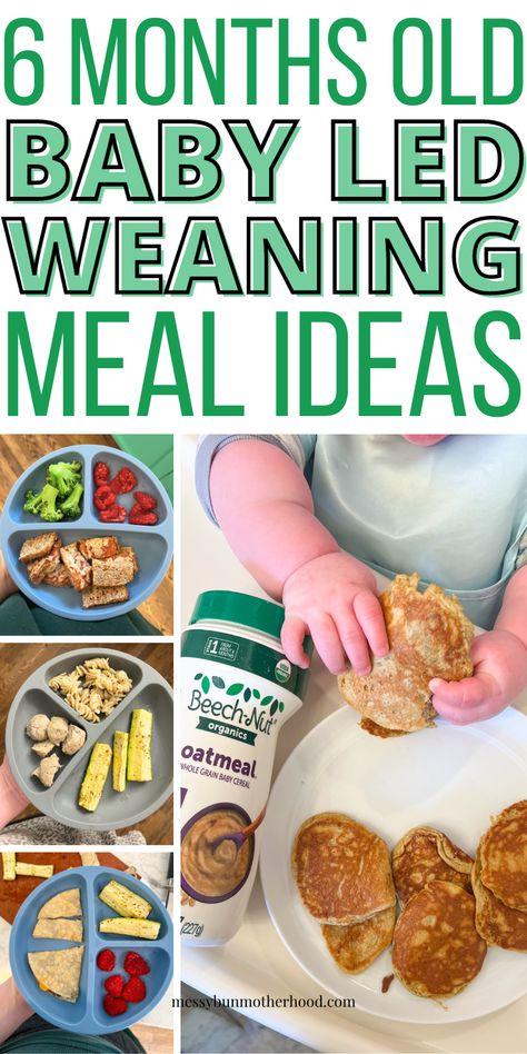 6 Month Old Baby Led Weaning Meal Ideas Baby Lead Weaning Food Ideas, 6month Old Food Ideas, 6 Month Weaning Food Ideas, Foods To Give 6 Month Old, 6month Food Ideas, Baby Food 6 Month Old Recipes, Six Month Old Food Ideas, 6 Month Old Blw Meals, Baby Led Weening Food Ideas