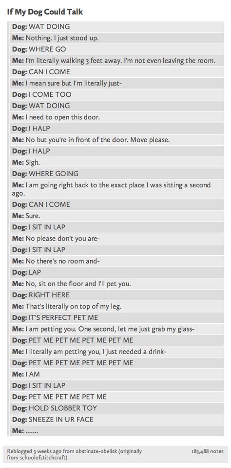 If my dog could talk If Dogs Could Talk, Dog Texts, Memes Dog, Jokes For Teens, Terrible Jokes, Truth Ideas, Memes In Real Life, Text Jokes, Funny Thoughts