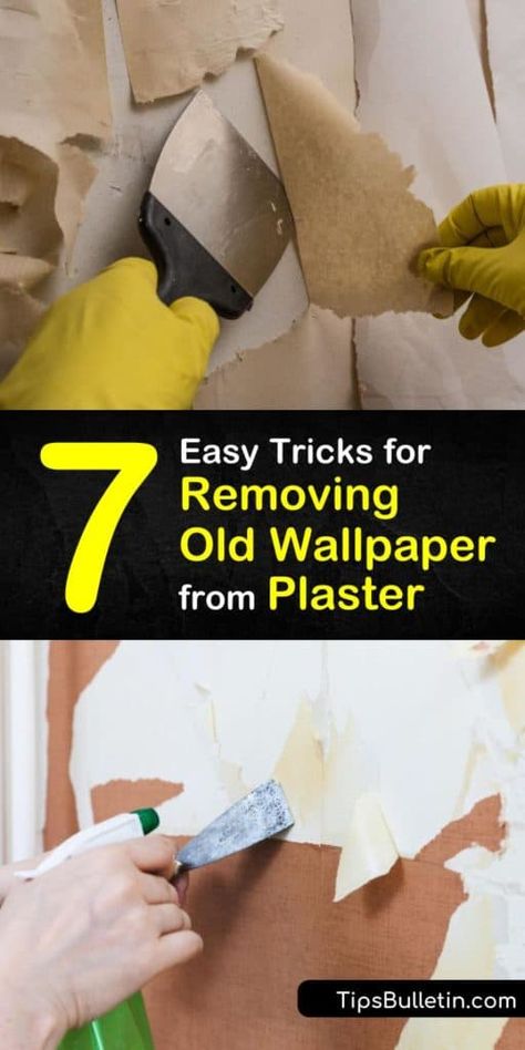 Remove Old Wallpaper, Wallpaper Over Wallpaper, Remove Wallpaper Glue, Plaster Walls Diy, Taking Off Wallpaper, Wallpaper Removal Solution, Removing Wall, Removing Wallpaper, How To Remove Wallpaper