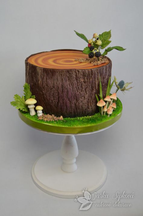 Forest cake by JarkaSipkova Forest Themed Cake, Forest Theme Cakes, Masha Cake, Themed Cake Ideas, Birch Tree Cakes, Wedding Forest, Woodland Cake, Log Cake, Wood Cake