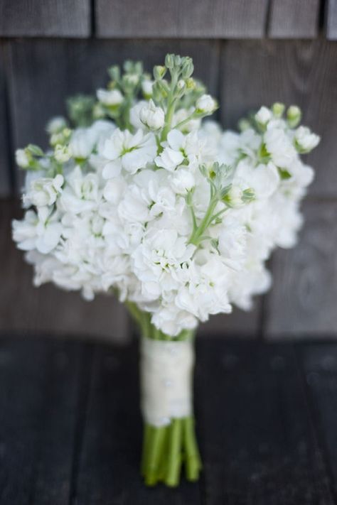 Stock Bridesmaid Bouquet, Stock Wedding Bouquet, Simple Bridesmaid Bouquets, Bridesmaid Bouquet White, Nantucket Wedding, White Bridesmaid, Stock Flower, White Stock, White Bouquet