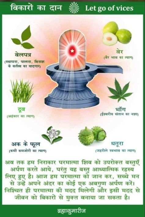 Shiv Jyotirling, Meditation Mantras Sanskrit, Rajyoga Meditation, Jyotish Remedy, Lord Shiva Mantra, Ancient Wisdom Quotes, Mantra For Good Health, Tips For Happy Life, Astrology Remedy