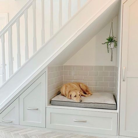 Dog Spot Under Stairs, Dog Bedroom Under Stairs, Understairs Storage With Dog Bed, Under Stair Dog Bed, Under Stair Storage And Dog Bed, Stairs Dog House, Bed Under Stairs, Dog Under Stairs, Under Stairs Dog House