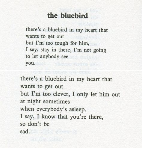 Charles Bukowski Quotes | Charles Bukowski. Bluebird in my heart | Quotes Bluebird In My Heart, Charles Bukowski Quotes, Bird Quotes, Charles Bukowski, Poem Quotes, Bukowski, Wonderful Words, Bluebird, Some Words