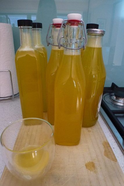 Grapefruit Cordial Recipe, Grapefruit Cordial, Cordial Recipes, Grapefruit Marmalade, Cordial Recipe, Bird Feeding Station, Tartaric Acid, New Product Development, Family Friendly Dinners