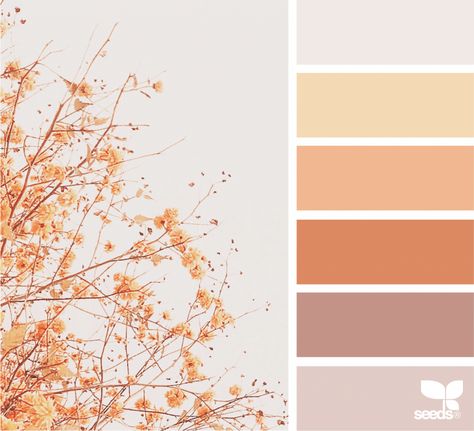 Design Seeds Color Palette, Seeds Color Palette, Seeds Color, Palette Design, Color Schemes Colour Palettes, Color Season, Pastel Colour Palette, Design Seeds, Color Palette Design