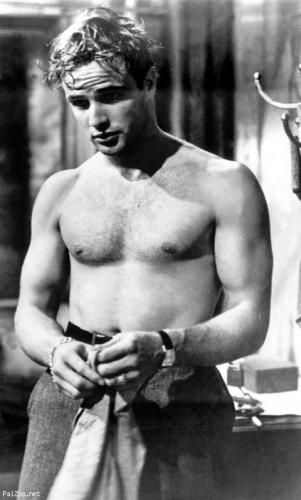 beauty is only skin.: 50s Male Body Image A Streetcar Named Desire, Harry Belafonte, Tennessee Williams, Vivien Leigh, Lauren Bacall, Cary Grant, Actrices Hollywood, Marlon Brando, James Dean