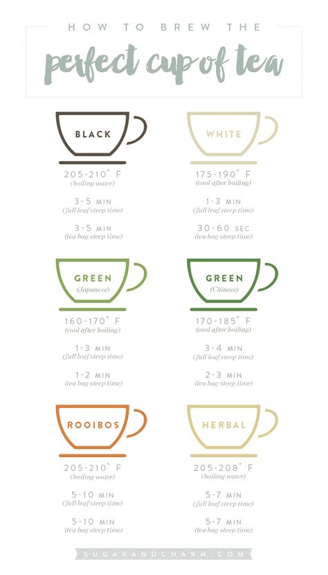 Tea Facts, Perfect Dinner Party, Perfect Cup Of Tea, Info Graphic, Healthy Teas, Tea Benefits, Steeped Tea, How To Make Coffee, Tea Art