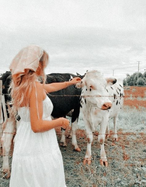 Peachy Aesthetic, Cow