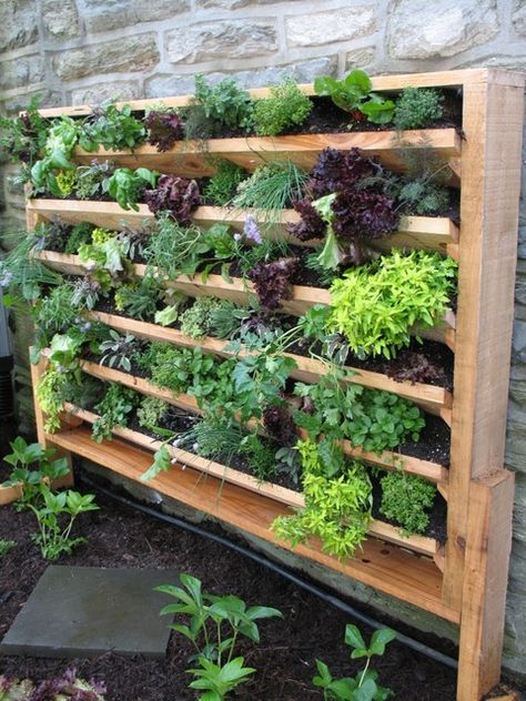 Shed Inspiration, Vertical Garden Design, Vertical Vegetable Garden, Small Vegetable Gardens, Vertical Garden Wall, Vegetable Garden For Beginners, Vertical Herb Garden, Vertical Garden Diy, Potager Garden