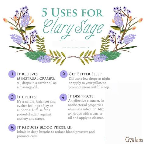 uses of clary sage oil Clary Sage Oil Benefits, Clary Sage Essential Oil Blends, Clary Sage Essential Oil Benefits, Article Topics, Candle Recipes, Magickal Herbs, Clary Sage Oil, Clary Sage Essential Oil, Sage Essential Oil