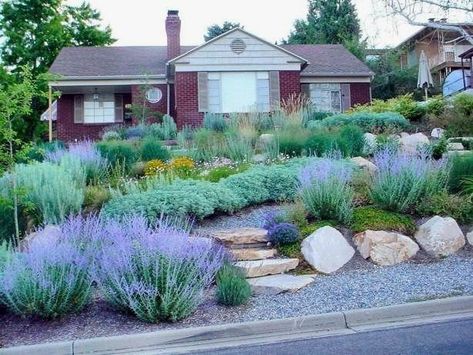 Perennial Garden Design, Xeriscape Front Yard, Xeriscape Landscaping, Water Wise Plants, Small Front Yard Landscaping, Front Yard Design, Front Yard Garden Design, Front Landscaping, Front Yard Garden