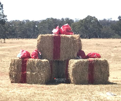 Straw Bales Christmas Decor, Ranch Christmas Decor Outdoor, Straw Bale Christmas Decor, Barn Decorated For Christmas, Hay Bales Christmas Decor, Barnyard Christmas Decor, Round Hay Bale Decorating Ideas Christmas, Hay Bale Christmas Ideas, Hay Bale Christmas Decor