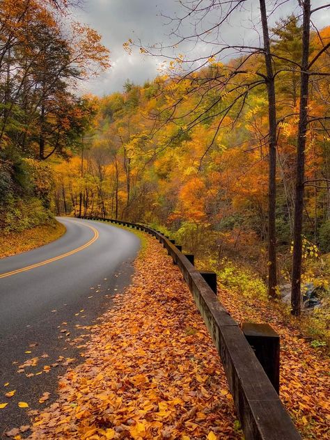 Mountains Aesthetic, Fall Road Trip, Mountain Travel, Autumn Scenes, Great Smoky Mountains National Park, Smoky Mountain National Park, Autumn Scenery, Fall Travel, Best Seasons