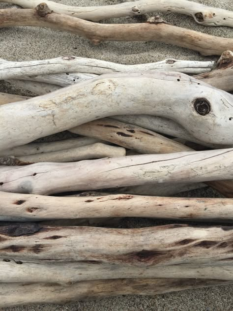 Wood Aesthetic Nature, Driftwood Photoshoot, Driftwood Aesthetic, Ocean Neutral Aesthetic, Bleaching Driftwood, Driftwood Texture, Salt Aesthetic, Summer Latte, Driftwood Photography