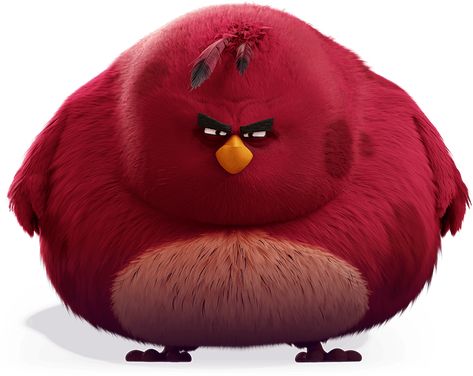 Terence Da Biggest Bird, Biggest Bird, Crazy Characters, Birds Movie, Swear Words, Angry Birds Movie, Angry Bird, Angry Birds, The Crazy