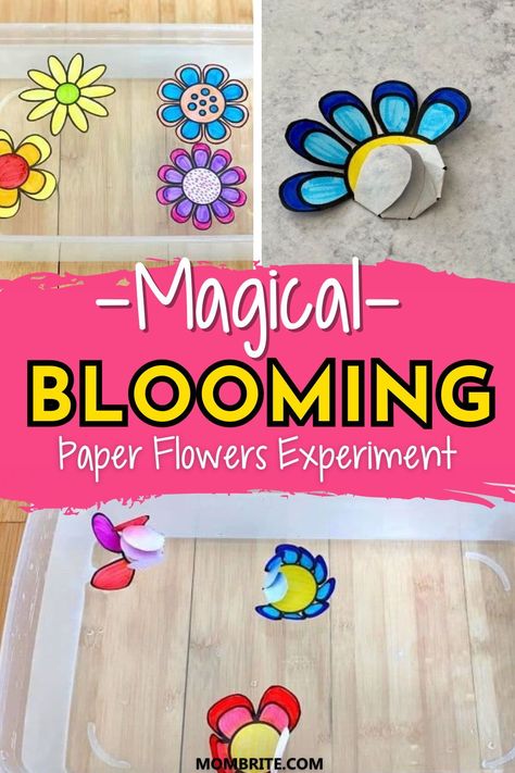 Looking for an imaginative and interactive preschool science experiment? Introduce your child to the magic of blooming paper flowers! This fun and easy-to-follow experiment combines science, art, and nature into one delightful activity. It's the perfect spring fine motor skills or homeschool activity during spring break. Flower Provocations Preschool, Spring Kid Activities, Spring Experiments For Preschool, Flower Experiments For Kids, Nature Stem Activities, Flower Science Experiment, Spring Science Experiments, Spring Stem Activities, Flower Science