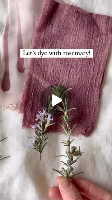 NATURAL DYEING | REBECCA DESNOS on Instagram: "The many uses of rosemary 😍🌿👌 Have you tried either of these?  1️⃣ Dyeing with rosemary!  💚 Different varieties make different dye colours. Making dye is a lot like making a strong pot of herbal tea. 💚 Simmer your plants in water and allow the pot to stand for a few hours. 💚 Strain, then add your mordanted or pretreated fabric. 💚 Gently heat the pot of dye and stir regularly for an even colour. 💚 Rinse and dry.  2️⃣ Make rosemary hair growth spray!   💚 Boil filtered water. 💚 Add your sprigs of rosemary, turn off the heat and cover. 💚 Allow the water to cool. 💚 Transfer to a spray bottle. 💚 Spray your herbal water onto the scalp after washing to stimulate hair growth and reduce any hair loss. 💚 Keep in the fridge and use within a Dyeing With Tea, Plant Dyed Fabric, Rosemary Hair Growth Spray, Uses Of Rosemary, Natural Dyes For Fabric, Natural Fabric Dye, Herbal Water, Tea Dyed Fabric, Dye Plants