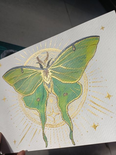 Cottage Core Painting, Cottagecore Painting, Moth Drawing, Hippie Painting, Golden Green, Simple Canvas Paintings, Green Paintings, Canvas Painting Designs, Luna Moth