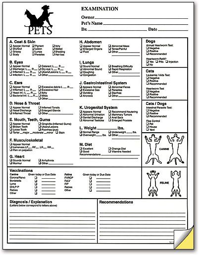 Pet Exam Form | SmartPractice Veterinary Exam Template, Veterinary Receptionist, Vet Tech School, Veterinary Tech, Business Tycoon, Veterinary Assistant, Vet Medicine, Animal Doctor, Report Card Template