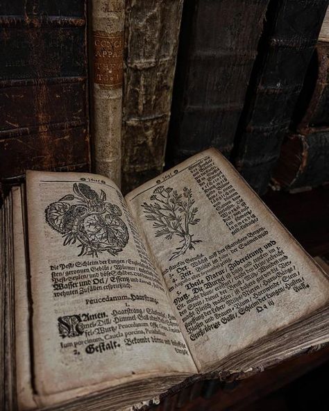 Alchemy Book Aesthetic, Dark Herbalist Aesthetic, Dark Alchemy Aesthetic, Alcamist Aesthetic, From The Library Of, Magic Books Aesthetic, Medieval Doctor Aesthetic, Ancient Books Aesthetic, Grimore Books Aesthetic