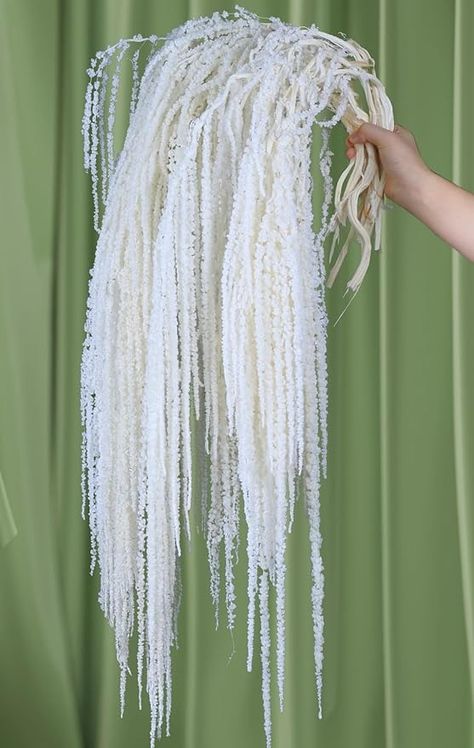 Amazon.com: 10Pcs Real Preserved Amaranthus Hanging Wedding Flowers - 23" Bleached White Dried Flowers for Wedding Arch Flowers, Wisteria Flowers Arrangement, Garlands, Home Vase Decor, Wall Hanging : Home & Kitchen White Hanging Amaranthus, Dry Flowers Decor, White Hanging Flowers, White Amaranthus, Dried Flower Wedding Decor, Hanging Wedding Flowers, Flowers For Wedding Arch, Dried Flowers For Wedding, Hanging Arrangements