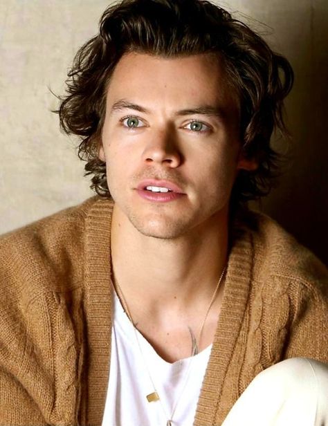 Harry Styles Photoshoot, Harry Brown, Gambar One Direction, Harry Styles Aesthetic, Principe Harry, Harry Styles Pictures, Harry Styles Photos, Mr Style, X Factor