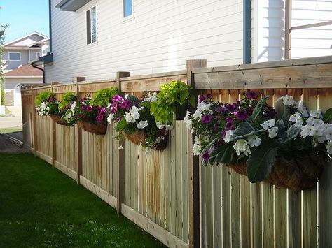 Hanging Planter Boxes Along Fence, Hanging Garden On Fence, Fence Plants Ideas, Plants On Fence Ideas, Planters On Fence, Pots On Fence, Fence Flower Boxes, Plants On Fence, Flowers On Fence