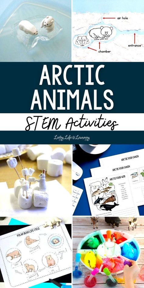 These Arctic Animals STEM Activities are not only entertaining, but they also provide a unique opportunity for children to learn about the fragile ecosystem of the Arctic. Through homeschool hands-on experiments and immersive activities, children will gain a deep understanding of how polar animals adapt to their harsh environment and the effects of climate change on their habitats. Arctic Animals For Preschool, Arctic Animal Stem Activities, Winter Animal Science Activities, Arctic Science Experiments For Kids, Artic Fox Activities For Kids, Arctic And Antarctic Animals, Polar Bear Stem Activities, Preschool Winter Animals Activities, Artic Animal Activities For Preschoolers