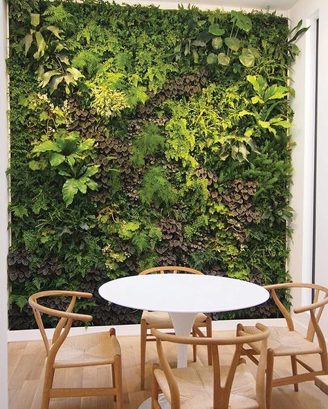 Indoor vertical garden and living wall by PlantWallDesign – Plant Wall | New York Vertical Garden Indoor, Vertical Vegetable Garden, Vertical Herb Garden, Vertical Garden Wall, Building A Pergola, Pergola Design, Garden Solutions, Vertical Gardening, Cozy Spaces