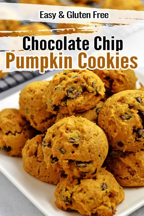 Lightly spiced with cinnamon and dotted with chocolate chips, these easy to make Gluten Free Chocolate Chip Pumpkin Cookies are a terrific fall treat. These soft chocolate chip pumpkin cookies are tender and chewy and packed with pumpkin flavor. Do some baking for the fall season and give these gluten free cookies a try. Soft Pumpkin Chocolate Chip Cookies, Pumpkin Chocolate Chip Cookies Recipe, Vegan Pumpkin Chocolate Chip Cookies, Gluten Free Pumpkin Cookies, Vegan Pumpkin Cookies, Soft Cake, Homemade Snickers, Gluten Free Chocolate Chip, Pumpkin Chocolate Chip Cookies