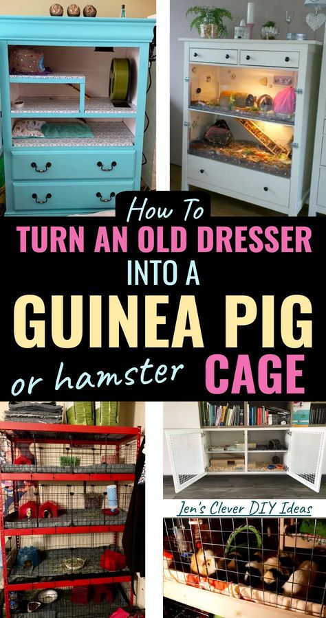 Dresser Hamster Cage, Small Animal Cage Ideas, Dresser Guinea Pig Cage, Diy Hedgehog Cage Ideas, Guniea Pig Indoor Cage, Guinea Pig House Diy, Indoor Guinea Pig Cage Ideas, Guinea Pig Cage Ideas Diy, Cute Guinea Pig Cage Ideas