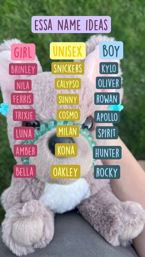 Stuffed Animal Names, Toy Aesthetic, Animals Food, Emotional Support Dog, Cute Mask, Emotional Support Animal, Support Dog, Dog Stuffed Animal