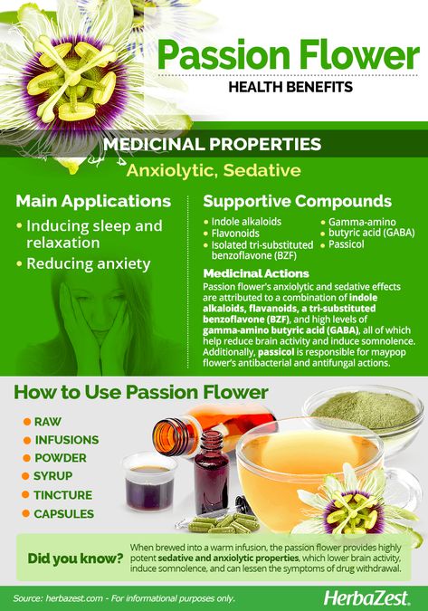 Passion Flower | HerbaZest Passion Flower Benefits, Herb Remedies, Herb Magick, Passion Flower Tea, Food Benefits, Foraging Recipes, Magickal Herbs, Medical Herbs, Plant Medicine