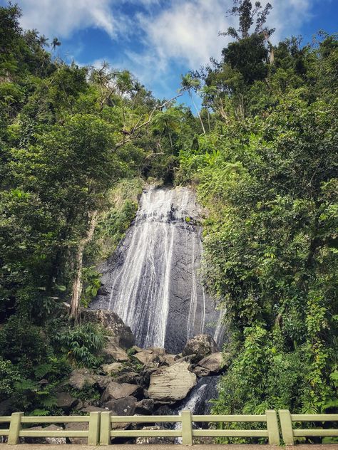 Looking to explore El Yunque Rainforest while you're in Puerto Rico? Here you will find El Yunque waterfalls, El Yunque hiking, El Yunque Puerto Rico, El Yunque rain forest, what to wear in El Yunque, things to do in El Yunque #elyunque #puertorico El Yunque Puerto Rico, La Hikes, El Yunque Rainforest, El Yunque National Forest, Puerto Rico Trip, Puerto Rico Vacation, Summer Vacation Spots, Adventure Bucket List, Rain Forest