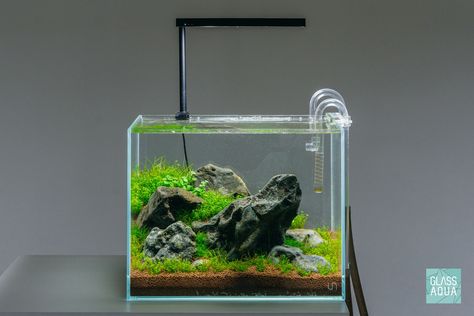 Iwagumi Aquascape Layout, Iwagumi Aquascape, Aquarium Layout, Nano Aquascape, Aquascape Inspiration, Betta Tanks, Aqua Scaping, Natural Aquarium, Fish Aquarium Decorations