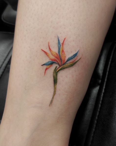 #diomeutattoo #tattoo #tattoos #madeiraisland #flowertattoo Madeira Island Tattoo, Costa Rica Tattoo Ideas, Arm Patchwork, Costa Rica Tattoo, Bird Of Paradise Tattoo, Island Tattoo, Paradise Tattoo, Travel Tattoos, Card Tattoo